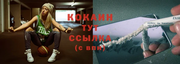 стафф Аркадак