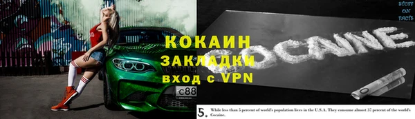 шишки Балабаново