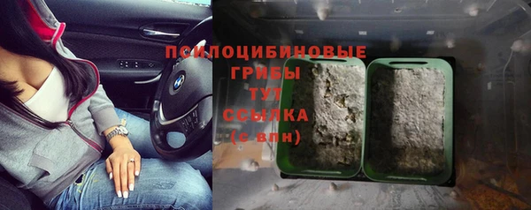 шишки Балабаново