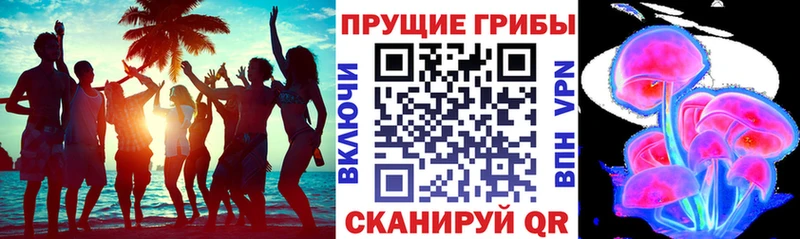 Купить закладки  Строитель  Галлюциногенные грибы мухоморы 